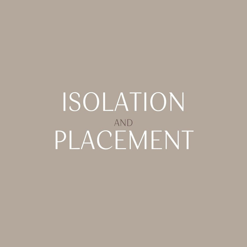 Sol Rae Seminar- Isolation and Placement